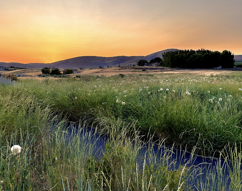 field in Yakima.